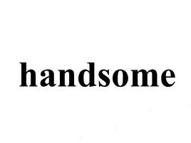 handsome[英語單詞]