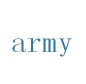 army[英文單詞]
