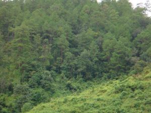 丁家寨下寨自然村