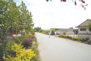 毛家嶺二村 毛家嶺二村