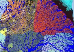 勒拿河三角洲 勒拿河三角洲