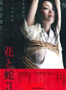 花與蛇3:白衣繩奴 花與蛇3:白衣繩奴