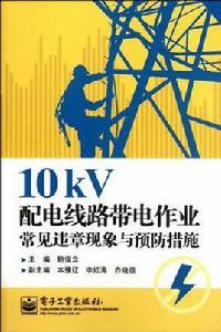 10kV配電線路帶電作業常見違章現象與預防措施 10kV配電線路帶電作業常見違章現象與預防措施