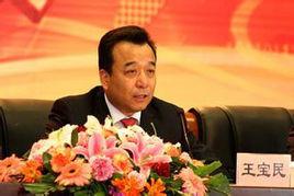 王寶民[中山大學副教授]