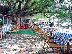 南崗品海 南崗品海