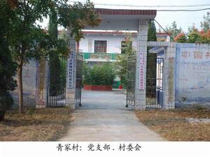 青冢村[河南鄧州市裴營鄉下轄村]