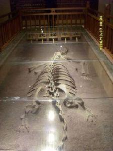 恐龍公墓 恐龍公墓