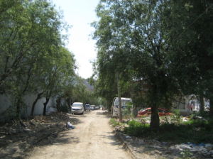 李縣墳村 李縣墳村