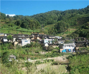 大平壩村 大平壩村