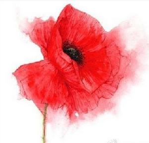 韶華勝極 韶華勝極