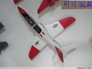 澳門德利遙控模型會章程 澳門德利遙控模型會章程