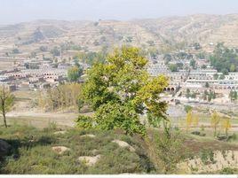 上龍泉村[山西省太原市婁煩縣靜游鎮下轄村]