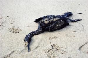 《2001年燃油污染損害民事責任國際公約》