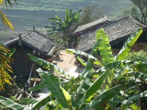 下石頭河村 下石頭河村