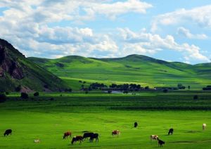 科爾沁大草原 科爾沁大草原