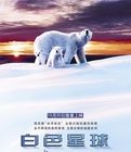 《白色星球》 《白色星球》
