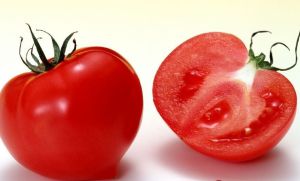 番茄等蔬菜中也含有尼古丁