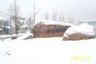 江蘇省木瀆高級中學 江蘇省木瀆高級中學