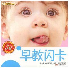 早教閃卡 早教閃卡