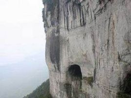 仙米林場 仙米林場