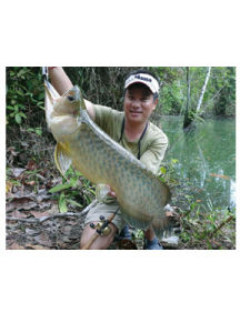 海峽釣魚 海峽釣魚