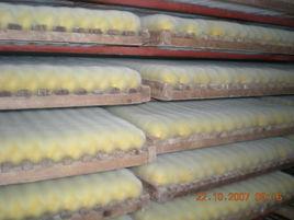 五通橋毛霉豆腐乳 五通橋毛霉豆腐乳