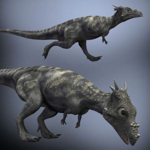 平頭龍科 平頭龍科