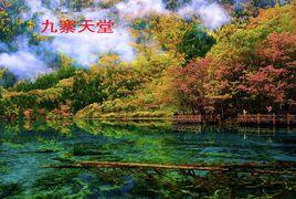 九寨天堂 九寨天堂