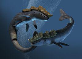 利維坦[《質量效應3》中的收割者的起源]