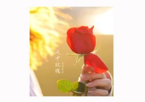 風中玫瑰[小說]