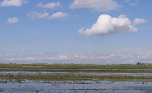 和平朝鮮族鄉 和平朝鮮族鄉