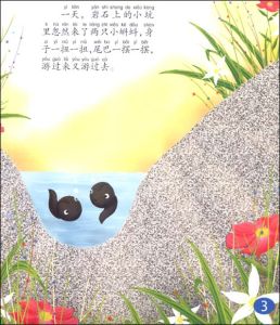 岩石上的小蝌蚪 內容