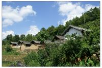 小椿木自然村 小椿木自然村