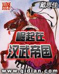 崛起在漢武帝國 崛起在漢武帝國