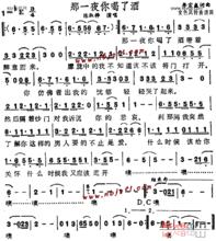 那一夜你喝了酒