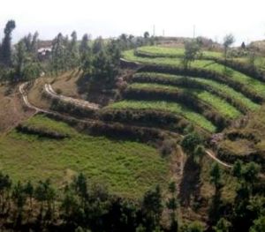 滑腳坡自然村 滑腳坡自然村