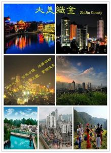 織金[貴州省畢節市下轄縣]