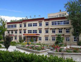 西藏自治區地質礦產勘查開發局中心實驗室 西藏自治區地質礦產勘查開發局中心實驗室