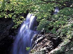 彌失嶺溪谷 彌失嶺溪谷