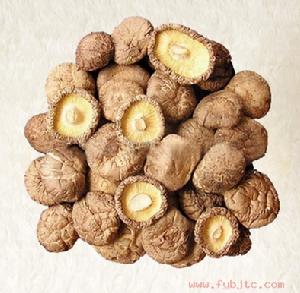 房縣香菇 房縣香菇