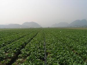 （圖）十家滿族鄉