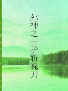 死神之一護斬魄刀