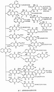 蒽醌系中間體 蒽醌系中間體