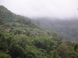 打杏自然村 打杏自然村