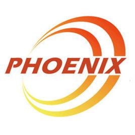 中傳鳳凰 中傳鳳凰