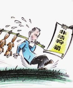 非法狩獵罪 非法狩獵罪