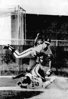 日本體育 日本體育