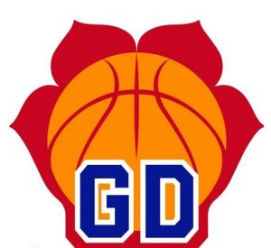 廣東省男子籃球聯賽