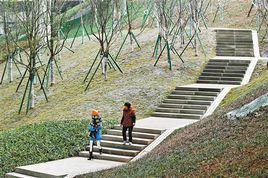 休息平台 休息平台