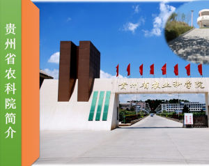 貴州省農業科學院 貴州省農業科學院